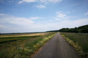 La Hongrie du Sud au Nord : Topo et Traces GPS