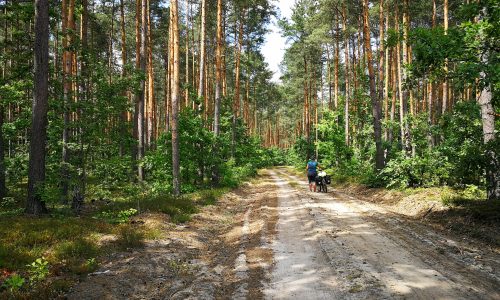 La Pologne du Sud au Nord : Topo et Traces GPS