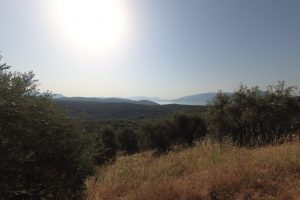 Jour 6 – On grimpe dans les collines d’oliviers