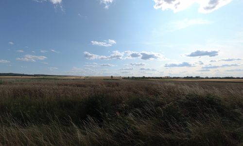 Jour 38 – Quand est ce qu’on s’arrête ?