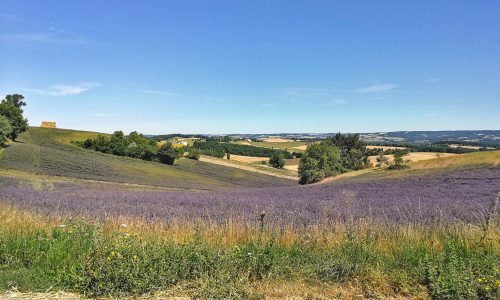 A la découverte du Tarn – jour 3