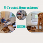 TrustedHouseSitters: le bon plan hébergement