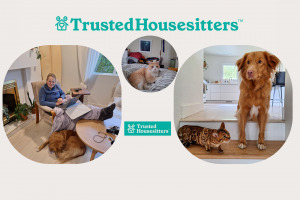 TrustedHouseSitters: le bon plan hébergement