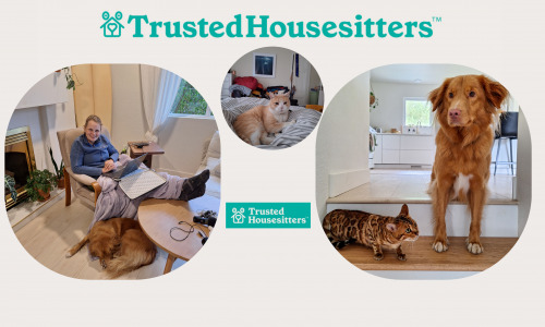 TrustedHouseSitters: le bon plan hébergement